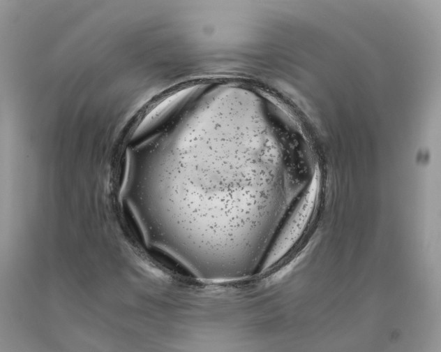 X0000091301449200709071043