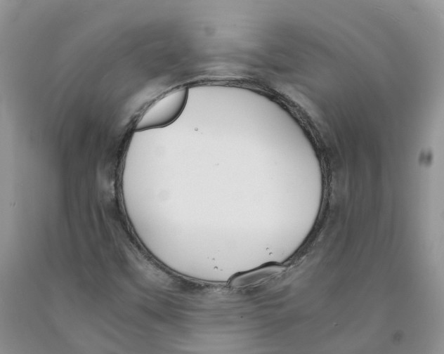 X0000091301451200709071043