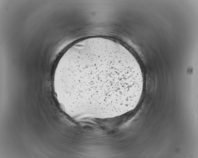 X0000091301453200709071043