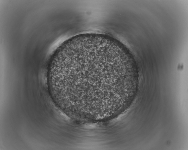 X0000091301455200709071043