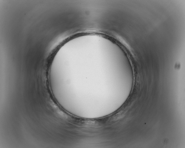 X0000091301456200709071043