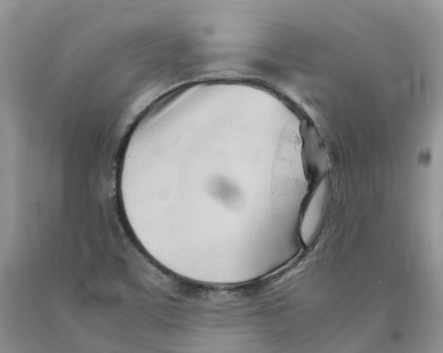 X0000091301459200709071043