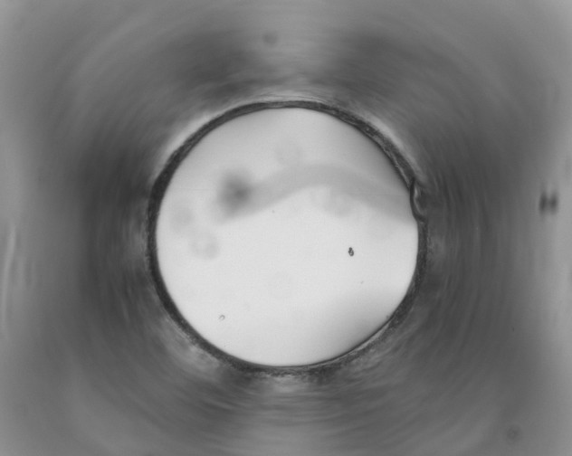 X0000091301460200709071043