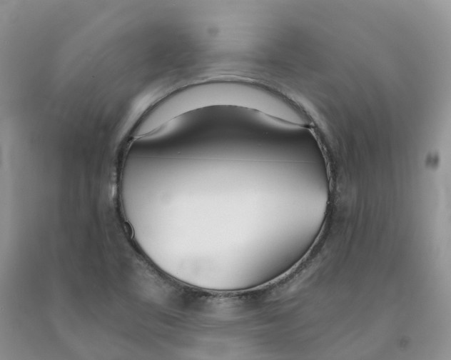 X0000091301461200709071043