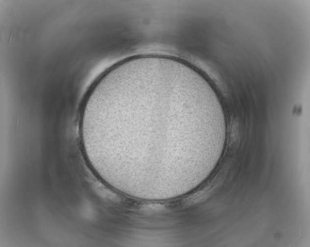 X0000091301462200709071043