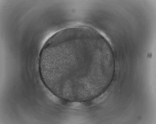 X0000091301463200709071043