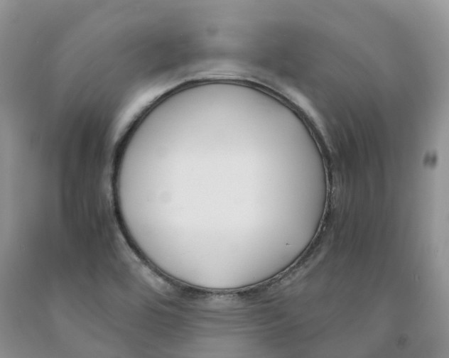 X0000091301464200709071043