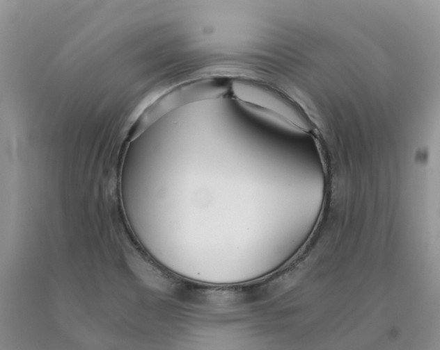 X0000091301465200709071043