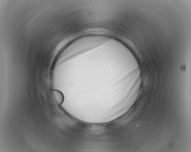 X0000091301466200709071043