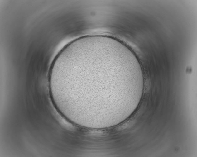 X0000091301470200709071043