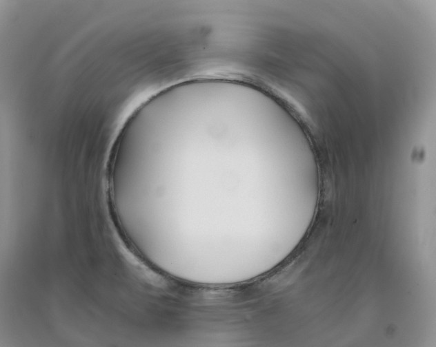 X0000091301471200709071043