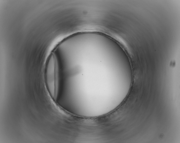 X0000091301472200709071043