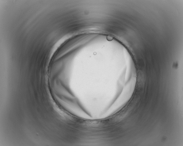 X0000091301474200709071043