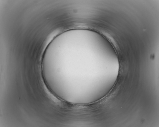 X0000091301475200709071043