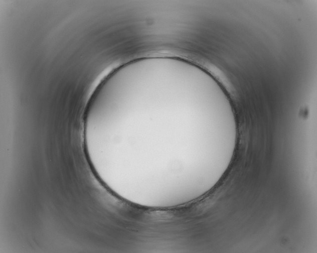 X0000091301476200709071043