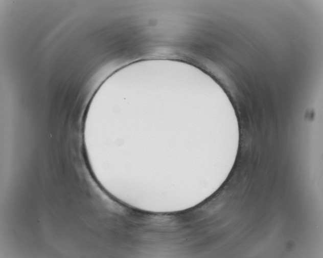 X0000091301479200709071043