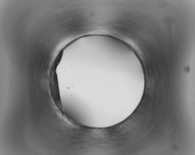 X0000091301480200709071042