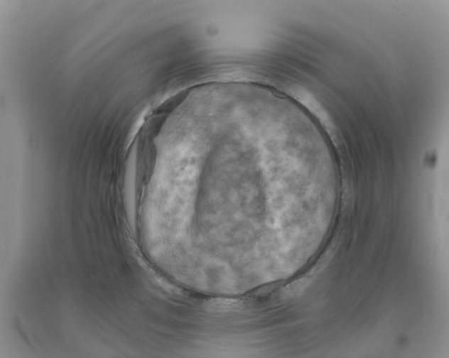 X0000091301481200709071042