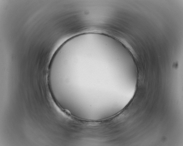 X0000091301484200709071042