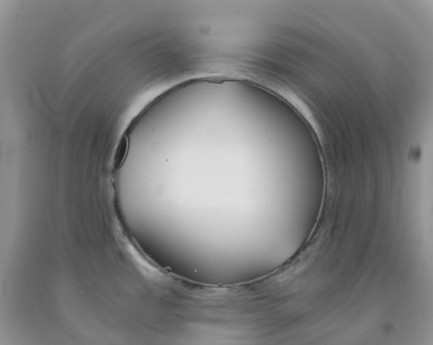 X0000091301485200709071042