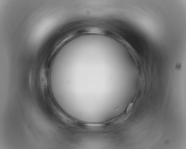 X0000091301487200709071042