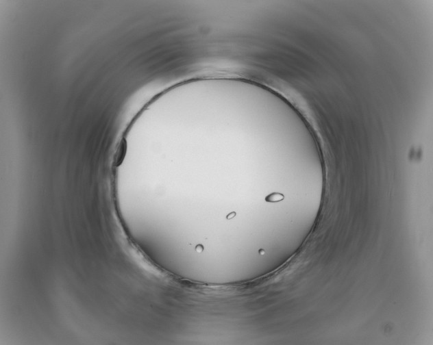 X0000091301488200709071042