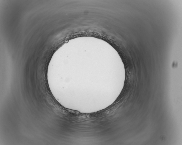 X0000091301489200709071042