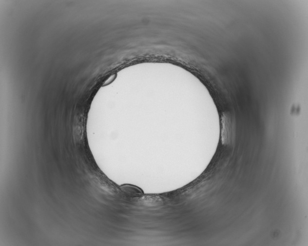 X0000091301491200709071042