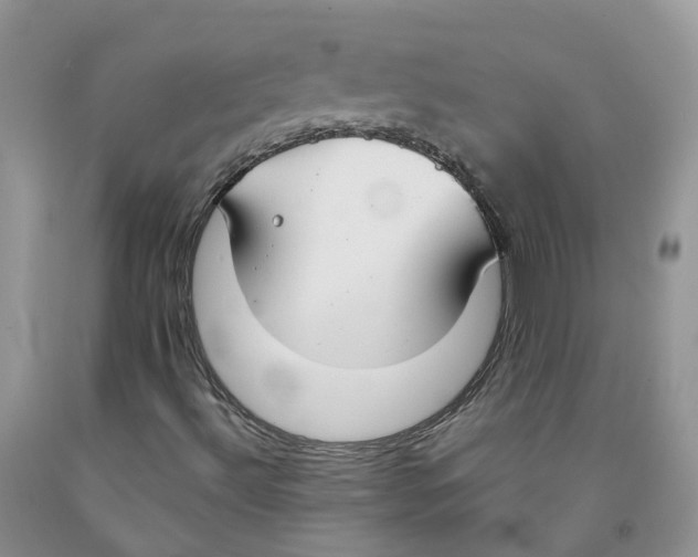 X0000091301492200709071042