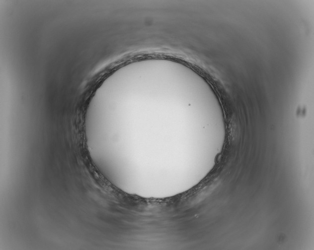 X0000091301494200709071042