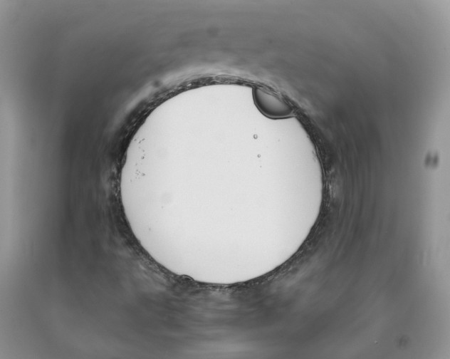 X0000091301495200709071042