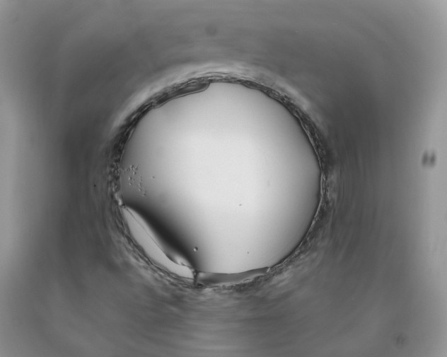 X0000091301496200709071042