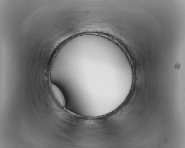 X0000091301497200709071042