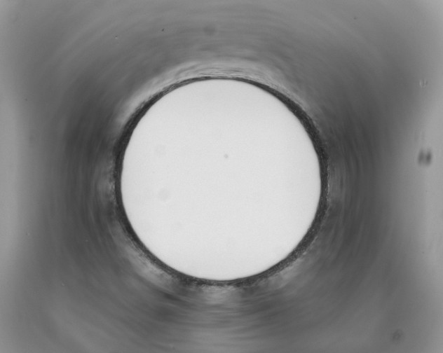 X0000091301498200709071042