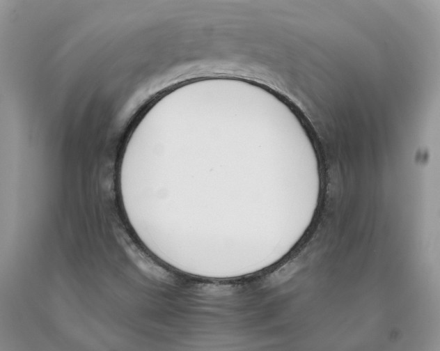 X0000091301499200709071042