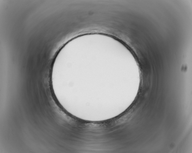 X0000091301500200709071042