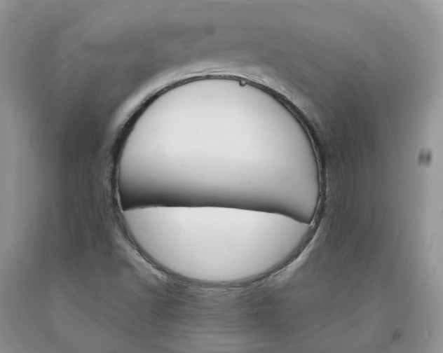 X0000091301502200709071042