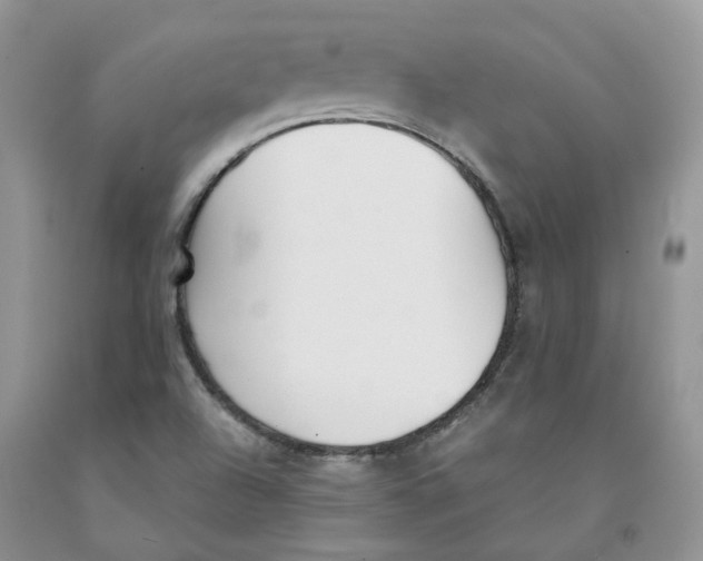 X0000091301504200709071042