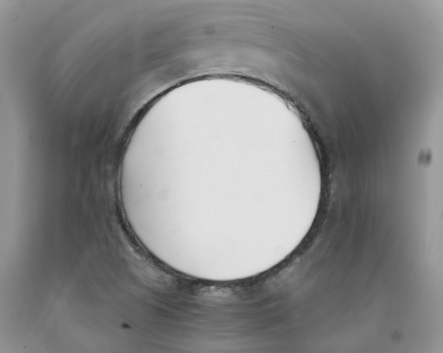 X0000091301505200709071042