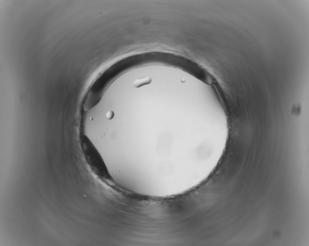 X0000091301508200709071042