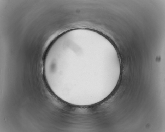 X0000091301509200709071042