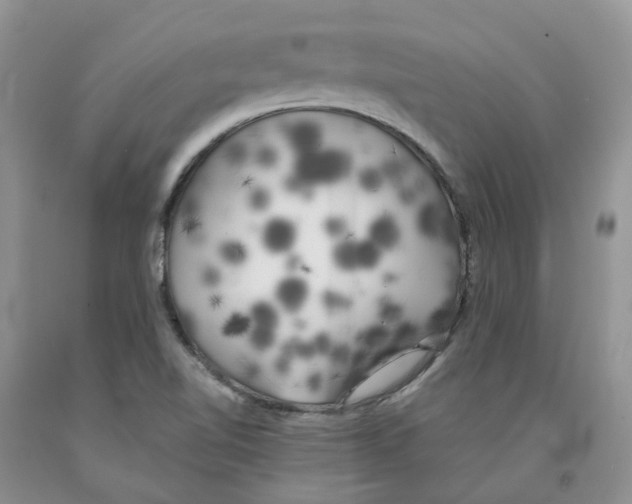 X0000091301510200709071042