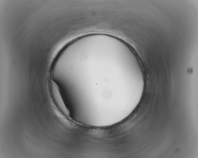 X0000091301511200709071042