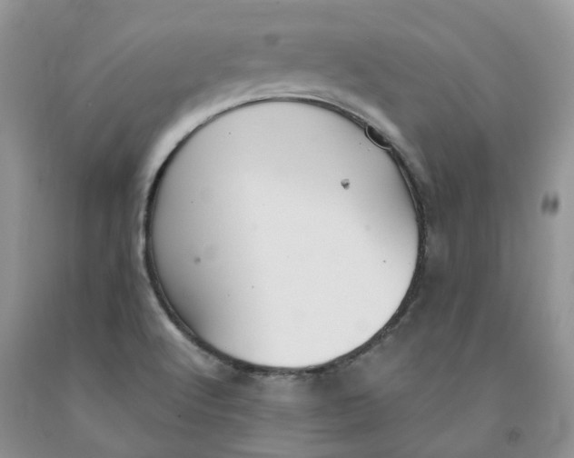 X0000091301512200709071042