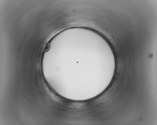 X0000091301513200709071042