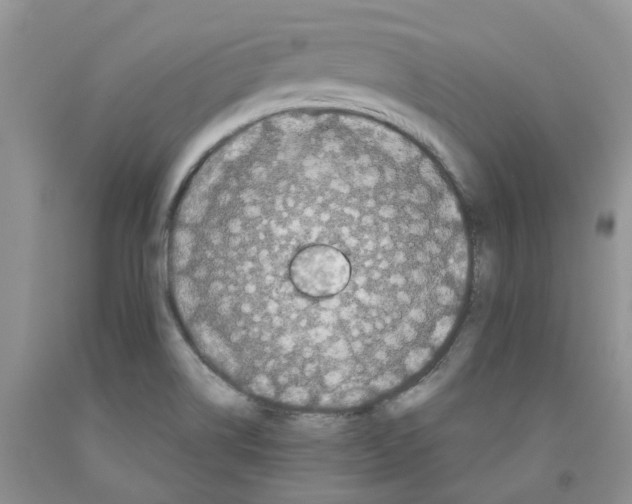 X0000091301514200709071042