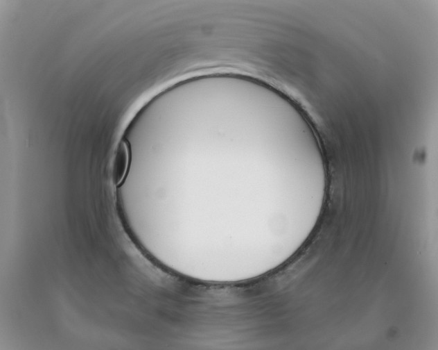 X0000091301516200709071042