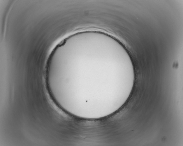 X0000091301518200709071042