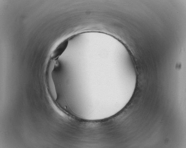 X0000091301519200709071042