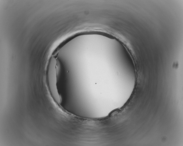 X0000091301520200709071042